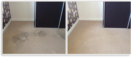 The Best Carpet Cleaning Results