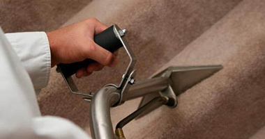 carpet Cleaning near me